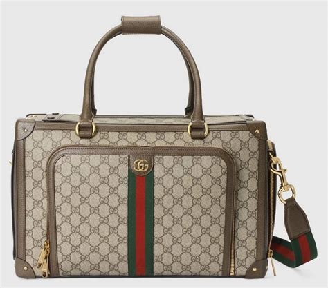 gucci pet kopen rotterdam|gucci pet collection.